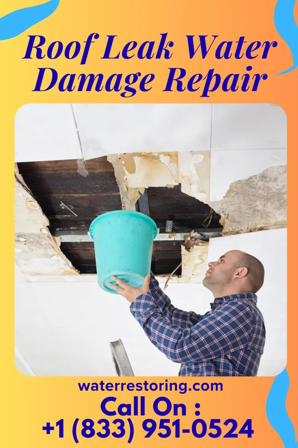 Roof Leak Water Damage Repair in Greenville, TX
