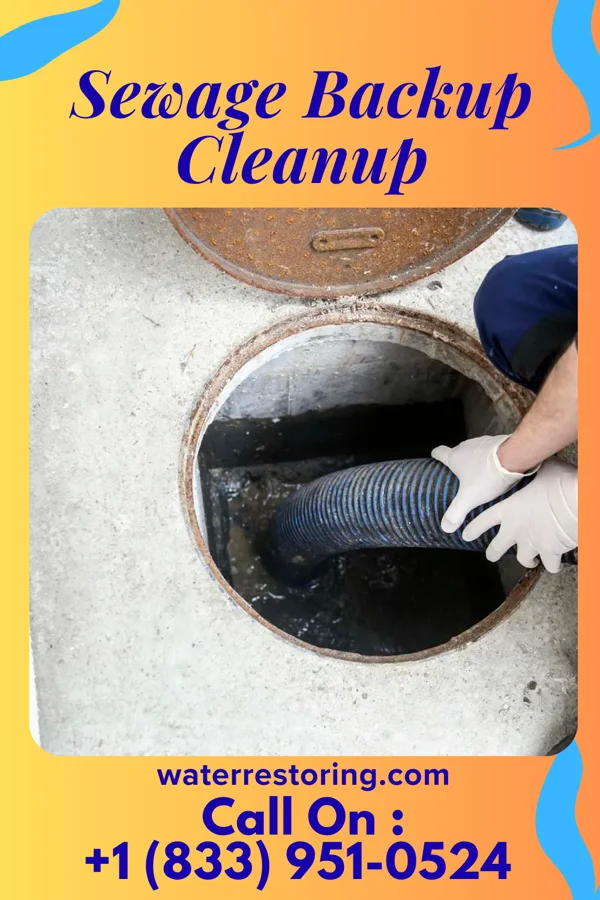Sewage Backup Cleanup in Greenville, TX